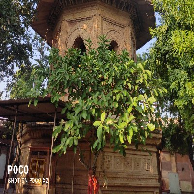 JyaniSaurbh's profile picture. 