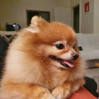 Sadikas3's profile picture. Ρωτώντας πας στη Πόλη! Ρωτήστε για να μάθετε
