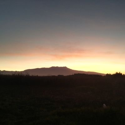 baesta_aquiles's profile picture. improvisando