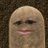 sukhpreetkaur97's profile image