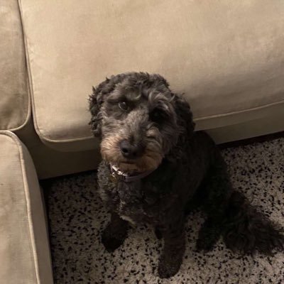 qszac1x's profile picture. 19