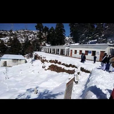 Tannu456789's profile picture. dreams always comes be true...