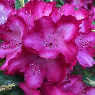 besocial000's profile picture. 