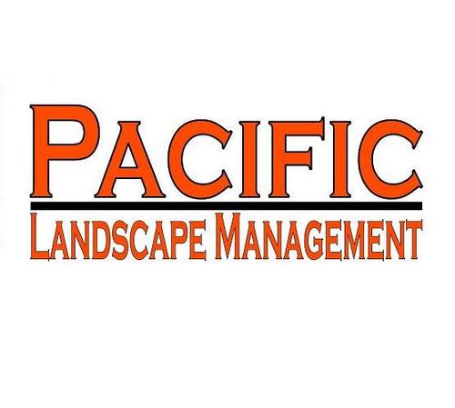 Pacific Landscape