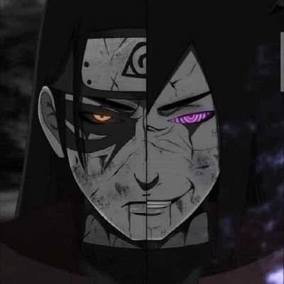 harrisoncurrea1's profile picture. 