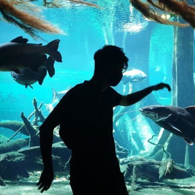 isi_mube's profile picture. Recojo tornillos por la calle.