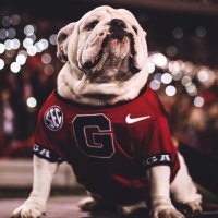 Michelle (@michell08344693) 's Twitter Profile