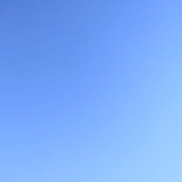 Floyd Fred (@matthewmaloy3) 's Twitter Profile