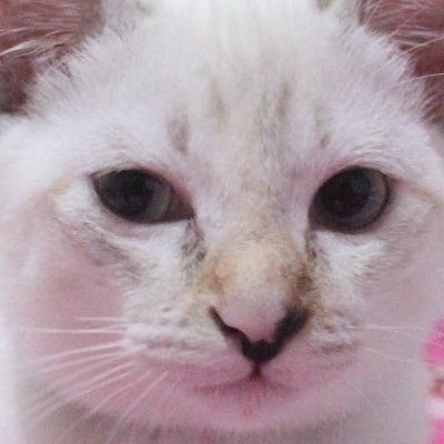 Theaccelator1's profile picture. 