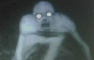 wodrich's profile picture. 