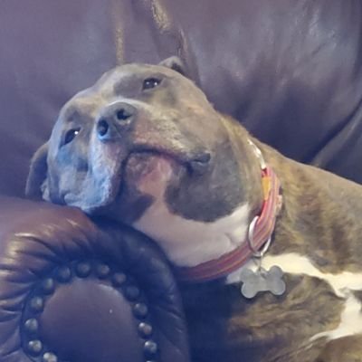 JMHouse9's profile picture. 