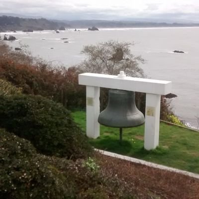 CovelloMartha's profile picture. 