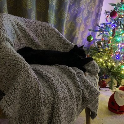 JillJillycake's profile picture. 💙NHS. nurse.