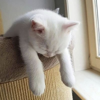 07_BOXINBOX_07's profile picture. 