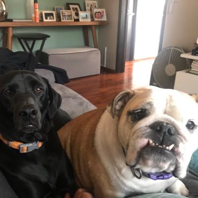 anaferdelrio's profile picture. 