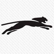 Slazinger_'s profile picture. Leader in Tennis & Hockey gear from 1881. The panther logo was used by H Gradidge & Sons acquired & used on Slazinger gear from 1931, 17 yrs before Puma existed