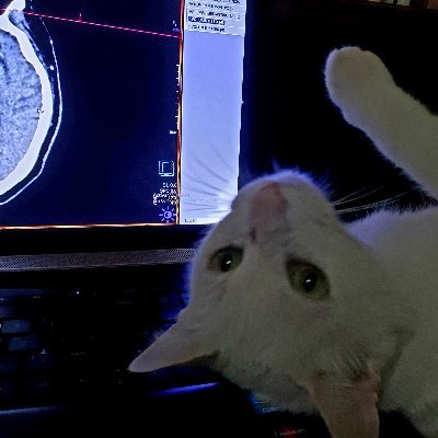 1carolinaservin's profile picture. Medicina por imágenes y de fácil dispersión.