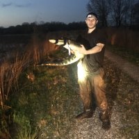 John Finger, Ph.D. (@john_finger_jr) 's Twitter Profile Photo