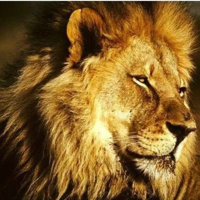 Lkh2707's profile picture. | I am not Better than Any Body
| INCian ✋️
| Tweets are Personal
| Retweets are not Endorsements
| Views are purely Personal 
| FB only for INCians