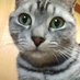小島 (@kojimafuku147) Twitter profile photo