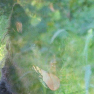 TradingEthix's profile picture. Investor & Pantheist
Wohlstand für alle. Nein zu Tierversuchen. Nein zur Scharia.
SCHLIESST DIE MOSCHEEN und installiert PV mit Speicher auf allen Dächern.