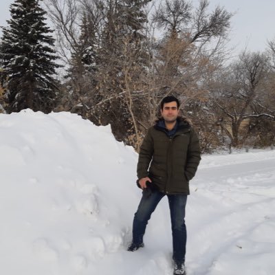 shayeganmehr's profile picture. 