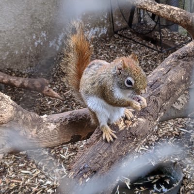 akmtkd's profile picture. 