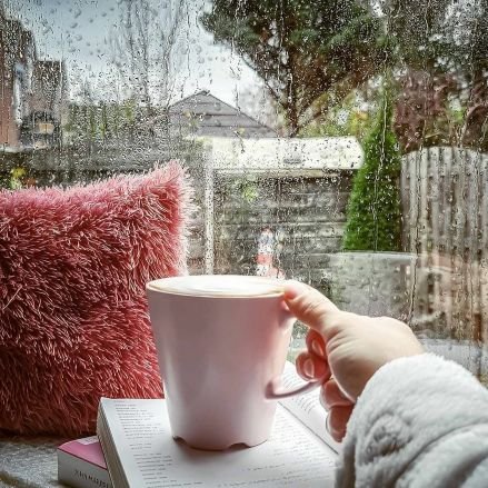 almodalldl's profile picture. ‏‏‏انيقة انا حَتَّى فِي اِرْتِدَائِي لـ اوجاعي .. 
وَحَزَّنِي ذُو نُكِهَهُ فَاخِرَهُ .. تَسَرُّ النَّاظِرِينَ ...!!