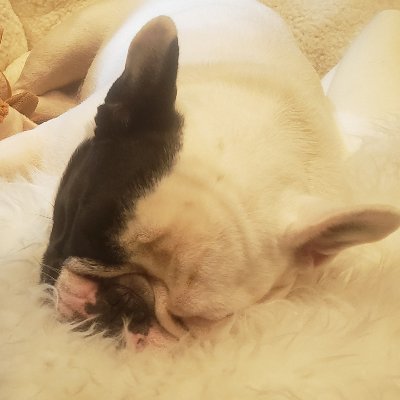 dishbg's profile picture. Just a man with an umbrella