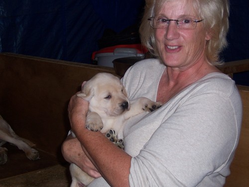 boosma's profile picture. Conservative, writer,  horsewoman, seeker. Mom to men and pets