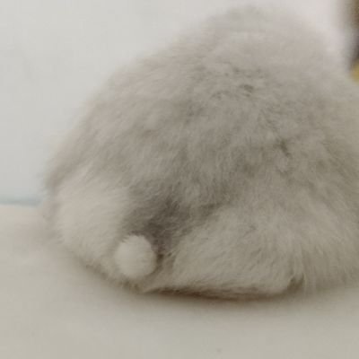 絞肉肉さんのプロフィール画像