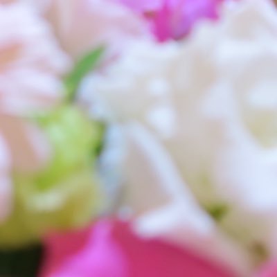 snapdr0108's profile picture. 羊毛フェルト作家だったが金属アレルギー発症のため無期限休業中。