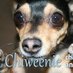 Meadow ๐ ๐บ๐ธ ๐ธ (@dgrace9meadow) Twitter profile photo Meadow ๐ ๐บ๐ธ ๐ธ (@dgrace9meadow) Twitter profile photo