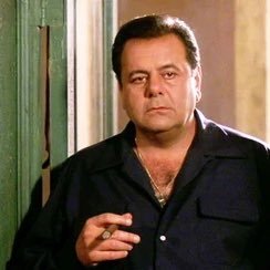 PauliesPicks1's profile picture. 