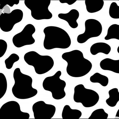 XSoftvibes's profile picture. lovely