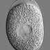 Christian Rocheleau (@rocheleaulab) Twitter profile photo Christian Rocheleau (@rocheleaulab) Twitter profile photo