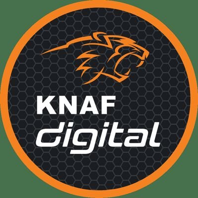Hét online platform voor officiële Nederlandse competities in populaire racegames, erkend door @knaf_autosport en gesteund door @nocnsf.