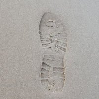 NWM (@gulsevernew) Twitter profile photo