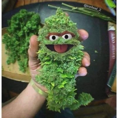 omo_Agbajelola's profile picture. God’s not a Man 🙏