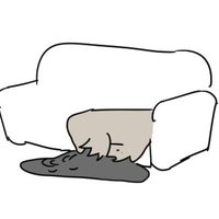 토련군주 (@xehfus) 's Twitter Profile Photo 토련군주 (@xehfus) 's Twitter Profile Photo
