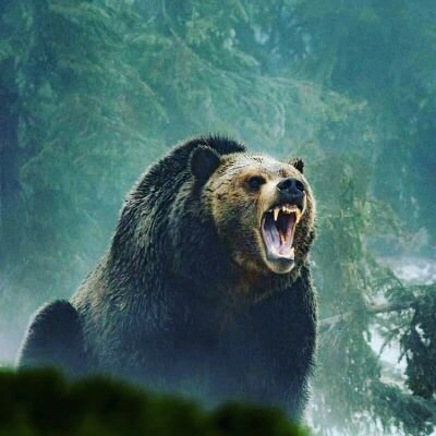 am_the_Business's profile picture. Three solutions to every problem: Accept it, change it or leave it. If you can't accept it, change it. If you can't change it, leave it.I can’t lie I’m the trut