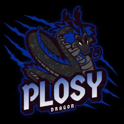 PlosyVe's profile picture. fortnite player 
14 yrs/HU