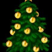 AyushiJ05911695's profile picture. 