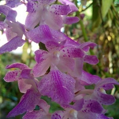 uRuCdr3HHiSppmD's profile picture. 