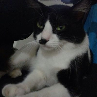 annisaftraulia's profile picture. 