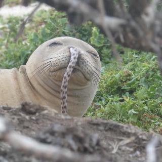 kandaisei2001's profile picture. 関大 機械 3回生 留年確定演出きた