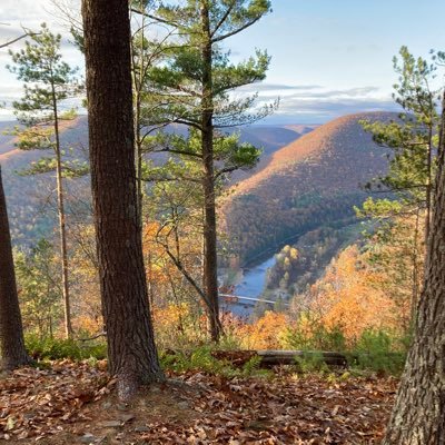 JakeYu57660527's profile picture. Best things in life?                                 Football. Family. Fresh fruit.