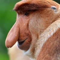 De Omnibus Dubitandum (@de_dubitandum) 's Twitter Profile Photo De Omnibus Dubitandum (@de_dubitandum) 's Twitter Profile Photo