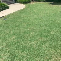YOMclub (@ffpturf) 's Twitter Profile