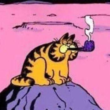 1800shitpost's profile picture. simply chaotic photons surrounding an unimaginable void ✌️😎